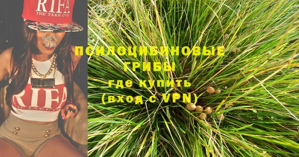 a pvp Алексин