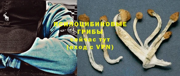 a pvp Алексин