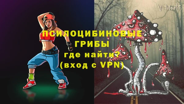 apvp Алзамай