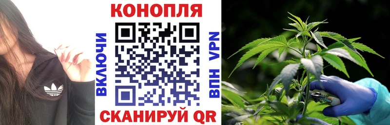 Шишки марихуана индика Тавда
